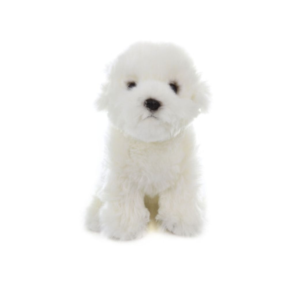 Malteser 27cm Plüschtier Plüschhund Kuscheltier Produktbild 