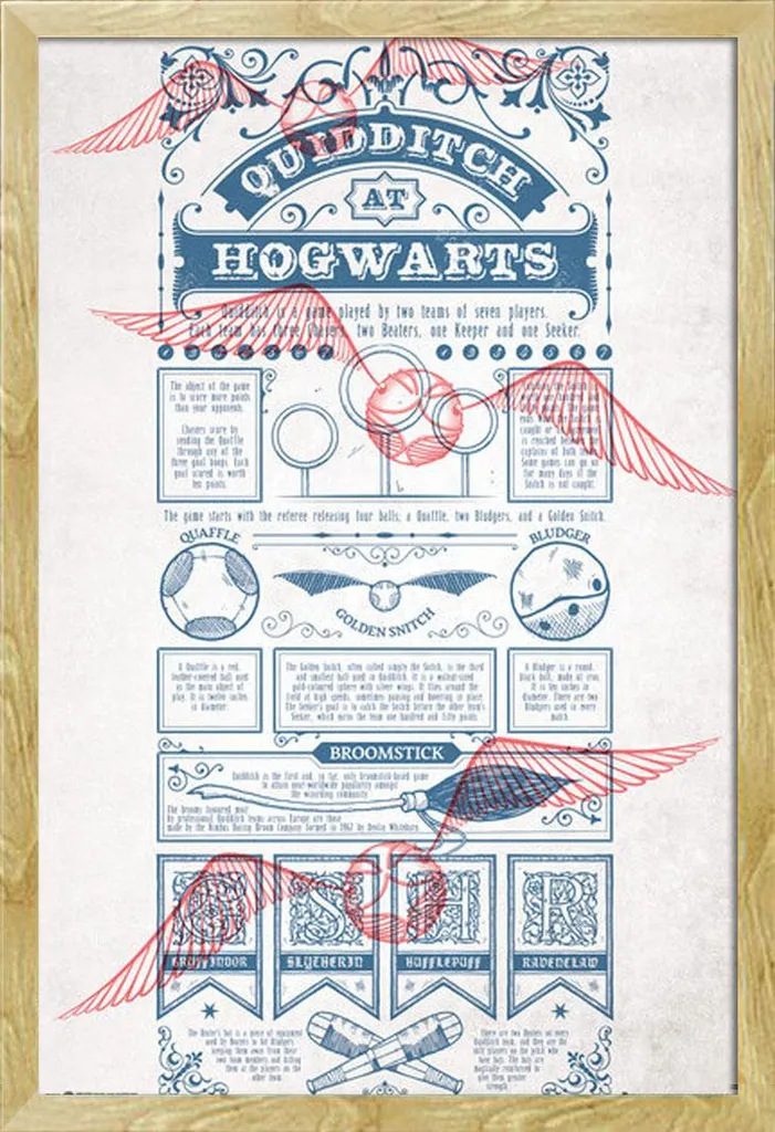 Harry Potter Quidditch Poster + Cornice Shinsuke Faggio - Qualità Top