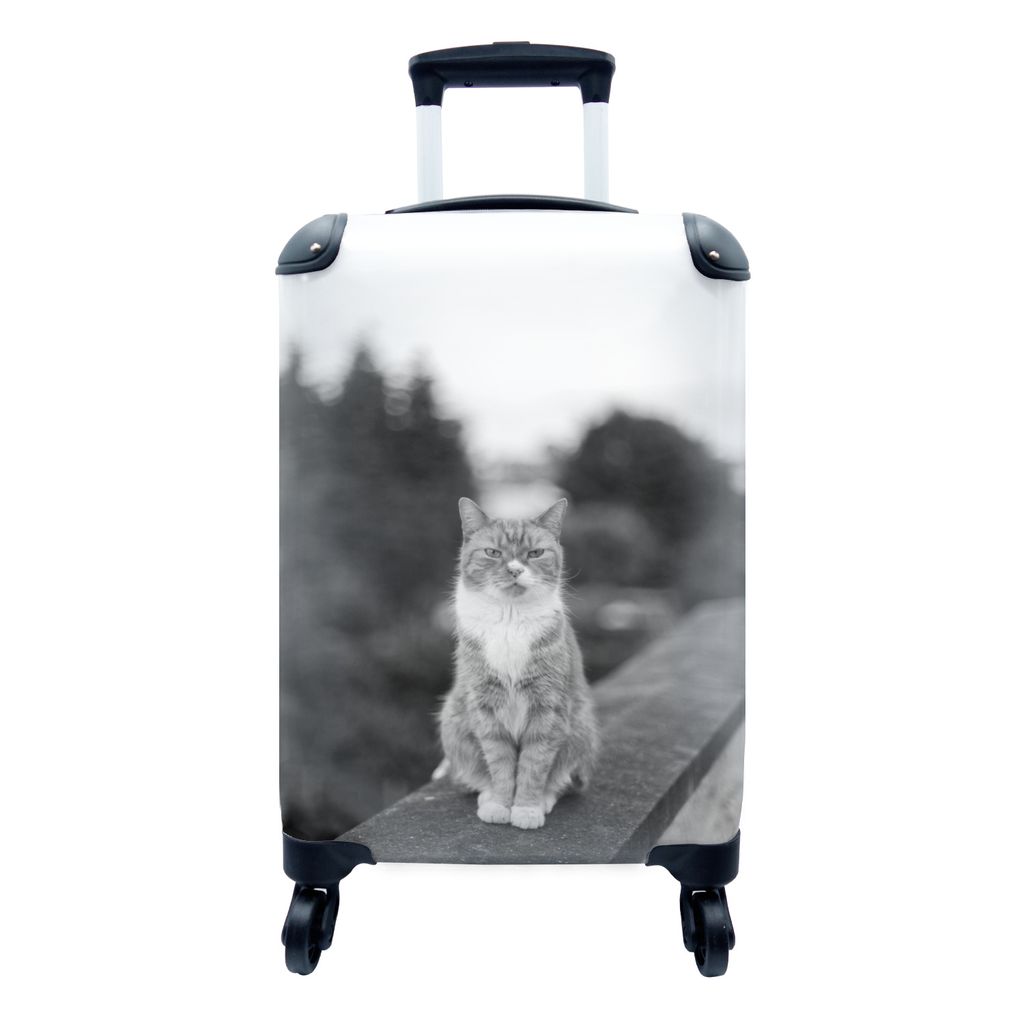MuchoWow Koffer Handgepäck Trolley Rollkoffer Kleine Reisekoffer mit 4 Rollen - Katze - Balkon - Wald - Mädchen - Kinder - Jungen - Kinder - Ca...