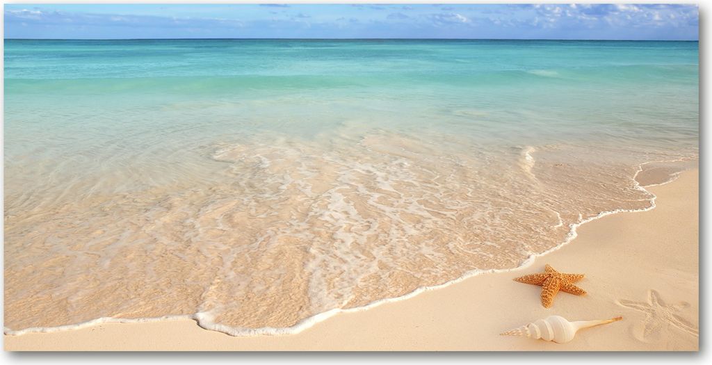 Tulup Glas-Bild - 100x50 -Wandkunst - Wandbild hinter gehärtetem Sicherheitsglas - Landschaften - Seestern am Strand - Blau