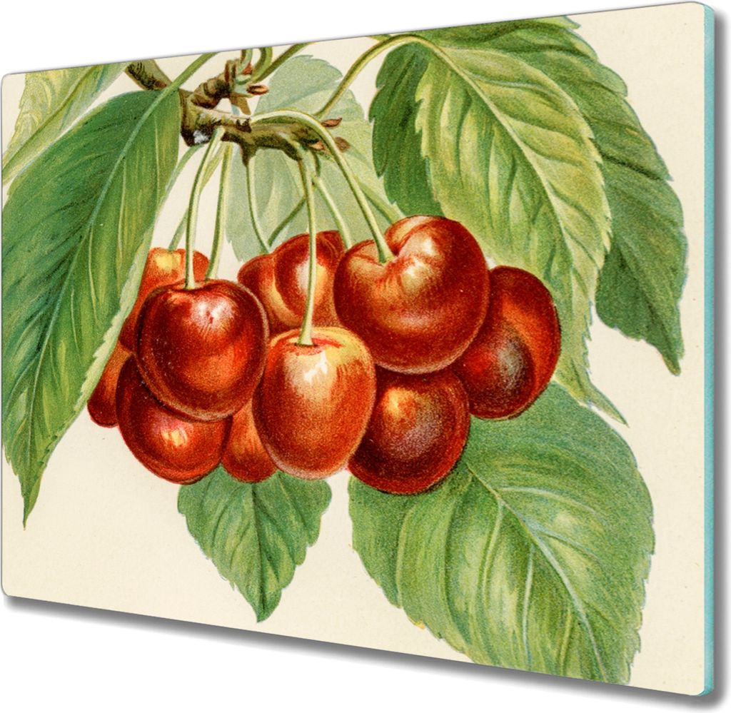 Coloray Herdabdeckplatte 60x52 cm Schneidebrett Kochplattenabdeckung Küchenbrett Hackbrett - Obst Kirsche Blätter Zweige