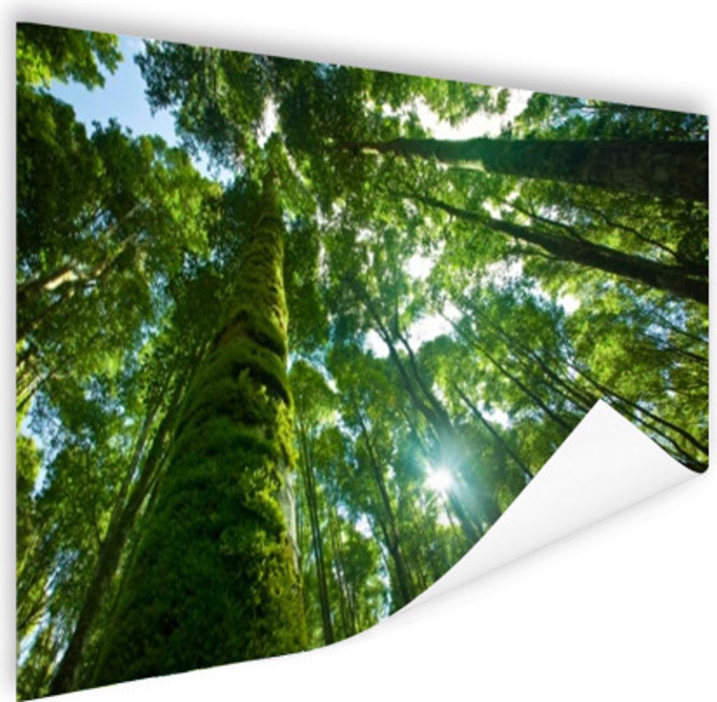 MuchoWow Poster Tropischer Dschungel in Asien 180x120 cm - Fotoplakat