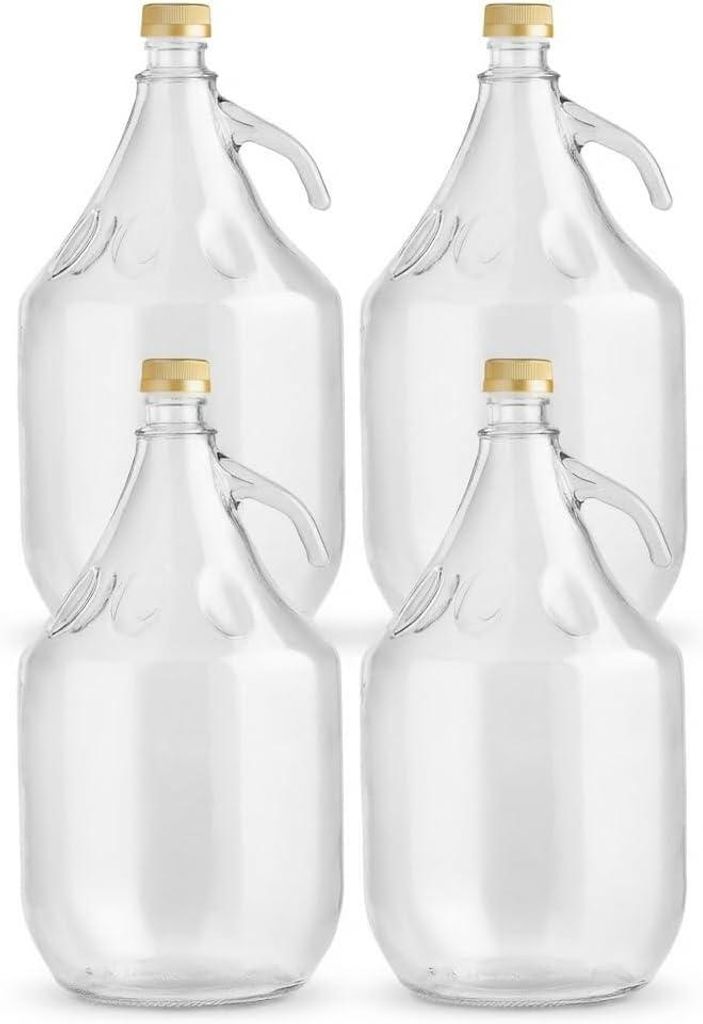 lilawelt24 4 x 5L Glasballon (Gallone) mit Produktbild 