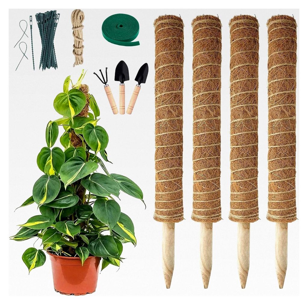 4 Stück Pflanzenstützen für Monstera Moosstäbe für Kletterpflanzen aus natürlichem Kokosmaterial