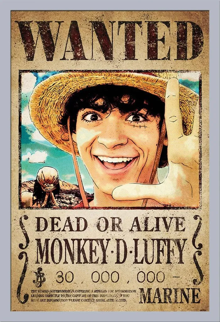Quadro One Piece Luffy Wanted: Cornice Shinsuke MDF Argento 61x91,5