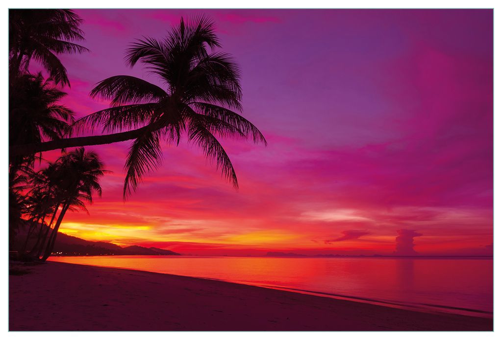 Wallario Küchenrückwand aus Glas, Größe: 90 x 60 cm, Motiv: Abendrot unter Palmen - pinker Himmel am Strand | Spritzschutz | abwischbar | pfleg...