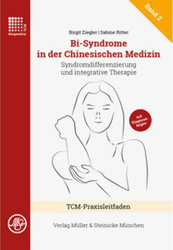 Livre de Médecine Chinoise : Traiter le Bi-Syndrome et les Rhumatismes