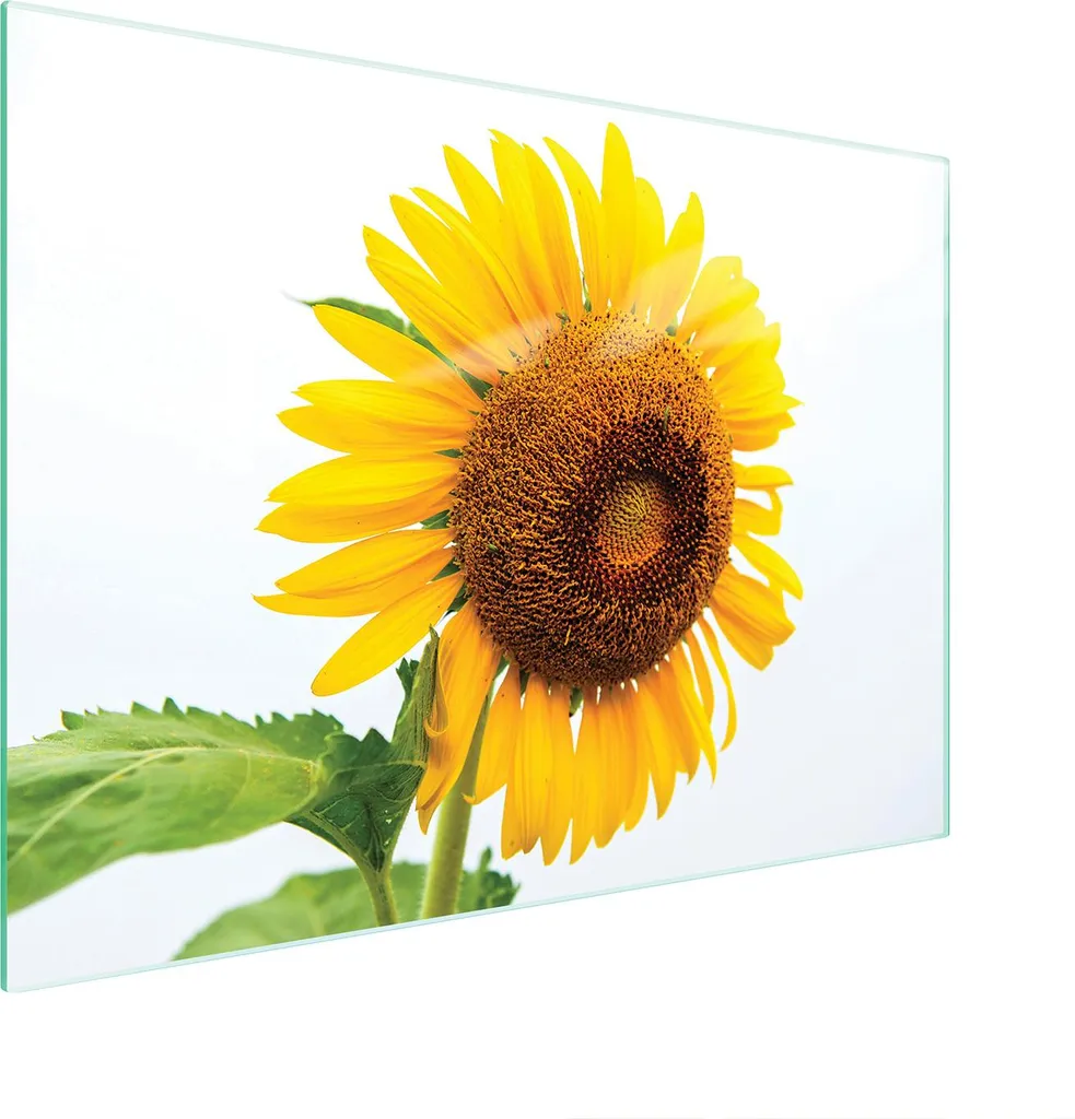 Protezione Piano Cottura Vetro 40x30 Fiore | Tagliere Multiuso Design
