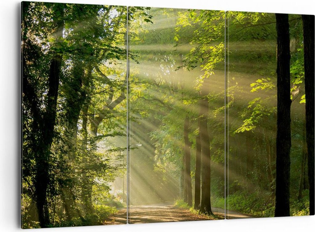 Bild auf Leinwand - Leinwandbild - Wald Baum Natur - 165x110cm - Wand Bild - Wanddeko - Wandbilder - Leinwanddruck - Bilder - Kunstdruck - Wanddeko...