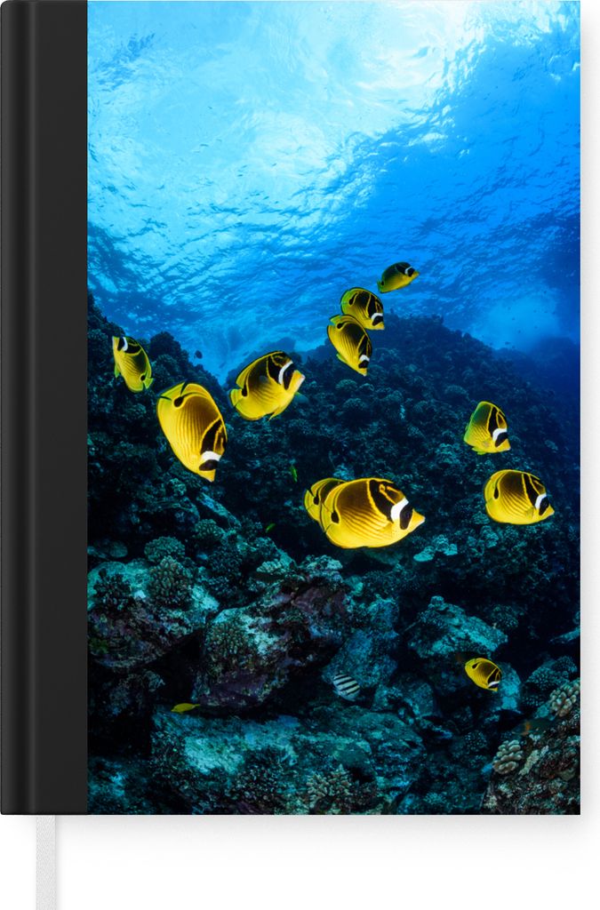 MuchoWow Notizbuch Tagebuch Haushaltsbuch Notebook A5 Fische - Gruppe - Hawaii - Notizblock - Notizheft - Notebook - Schreibblock - Papier
