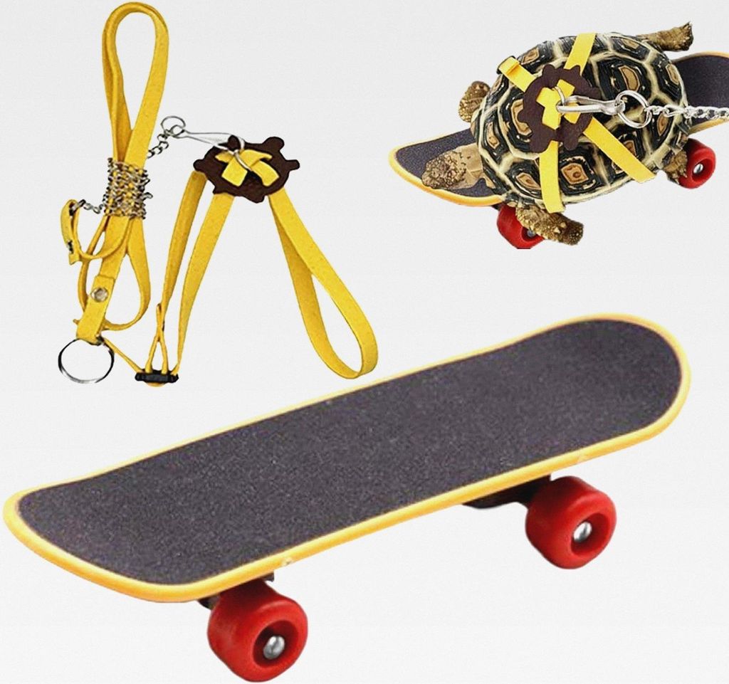 Verstellbare Schildkröte und lustiges Skateboard-Set, Trainingsgeschirr und kleines Skateboard für Schildkrötendrache, Barteidechse, kleine Haus...