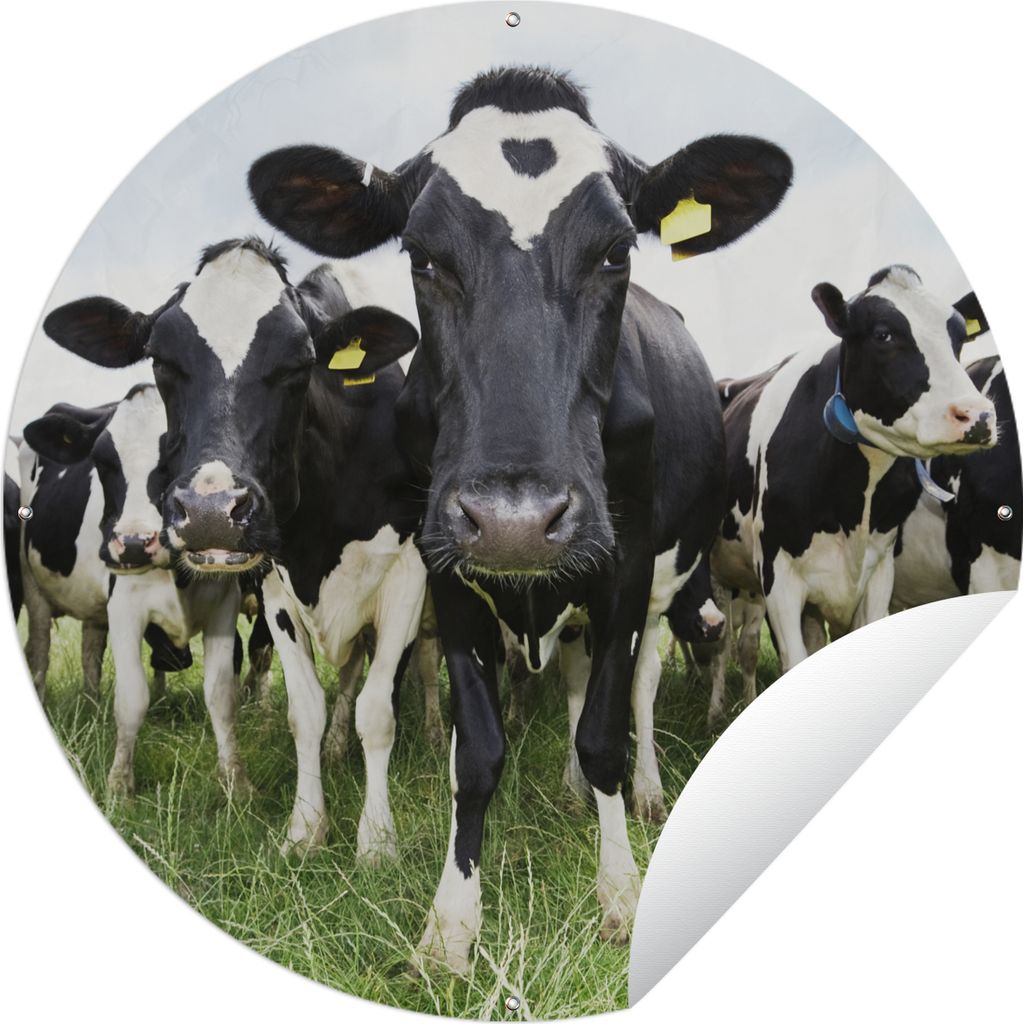 MuchoWow Gartenposter Outdoor-Poster Rund Kühe - Gras - Frühling - Tiere - Wiese - Bauernhof Ø 90 cm Gartendeko Rundes Poster draußen