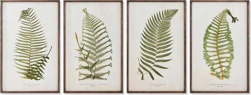 Decorazione Parete Home ESPRIT Fern Cottage 45x70cm - Cristallo e Abete