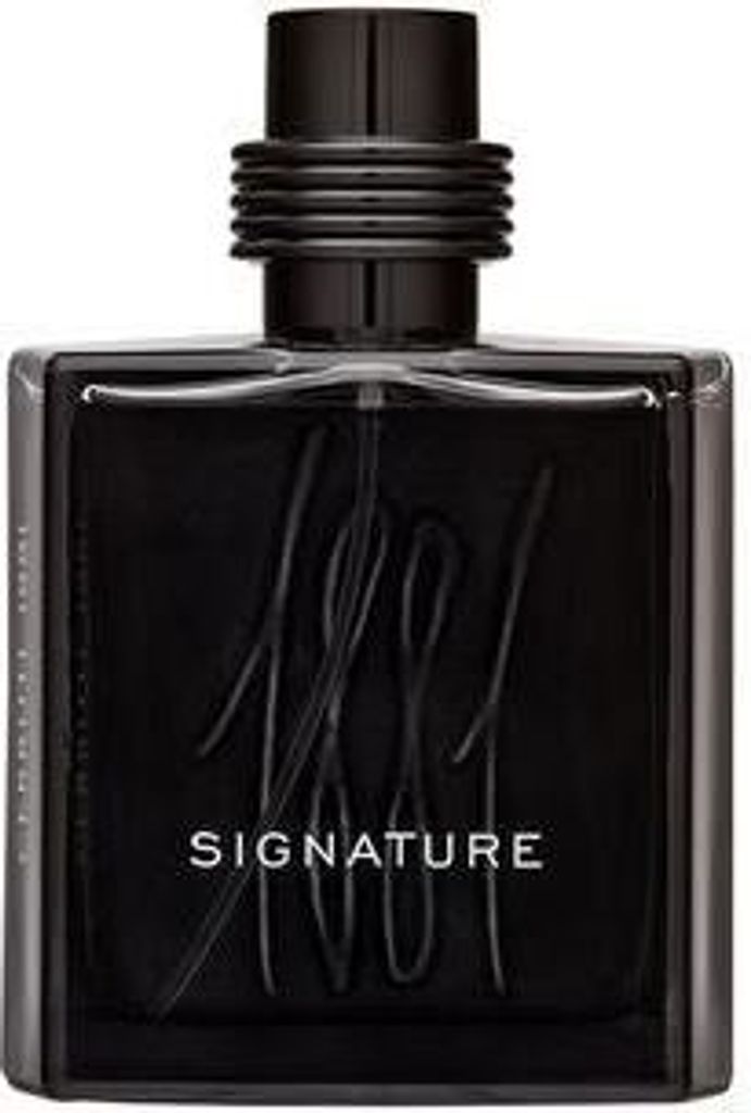 Cerruti 1881 Signature Eau de Parfum für Herren 100 ml