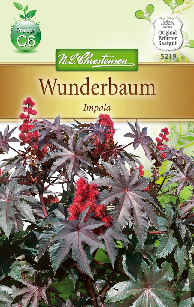 Wunderbaum Impala | Blumensamen von N.L. Chrestensen Produktbild 