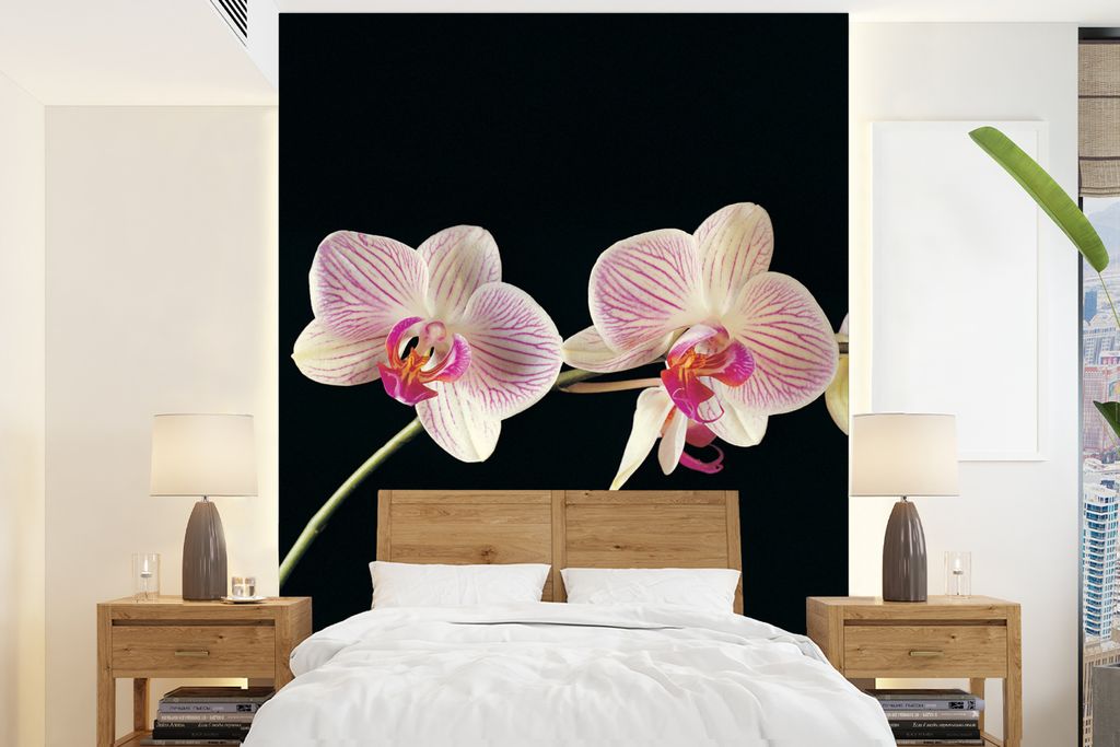 MuchoWow Fototapete für Wohnzimmer oder Schlafzimmer Wandtapete Vinyl Motivtapete Orchidee - Blumen - Schwarz - Rosa - Knöpfe - 195x260 cm - Wa...