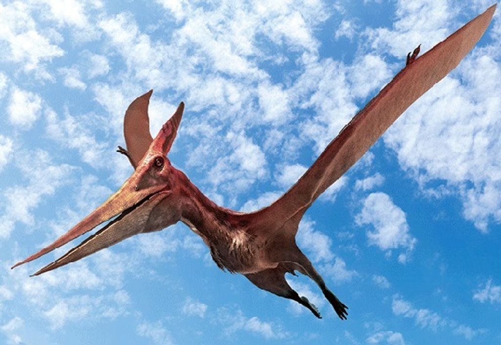 3 D Ansichtskarte Dinosaurier Pteranodon, Postkarte Produktbild 