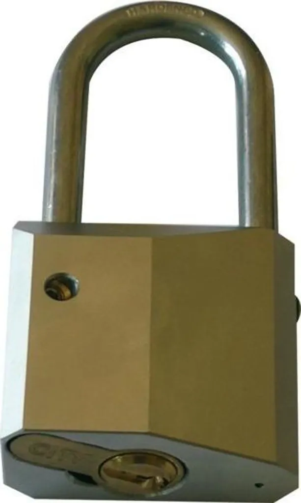 Cadenas ISEO 36353 en acier inoxydable 54mm pour protection extérieure max