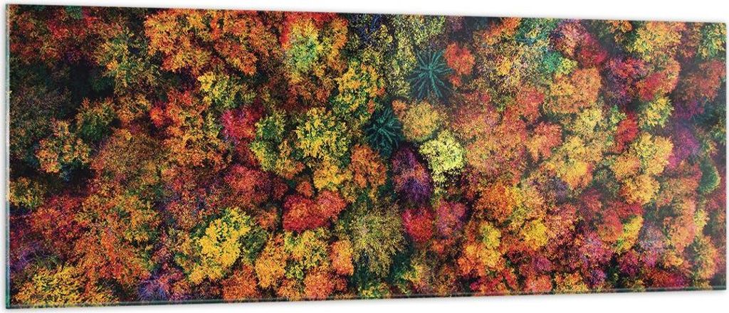 Bilder auf glas - Einteilig - Herbst Perspektive Vogel - 140x50cm - Glasbilder - Wandbilder - Bilder - zum Aufhängen bereit - Wanddekoration aus G...
