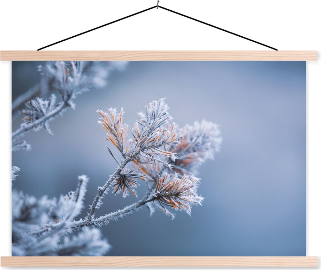 MuchoWow Textilposter Kiefernnadeln - Pflanzen - Eis - Schnee - Winter 120x80 cm mit holzfarbenen Rahmen - Aufhängeset