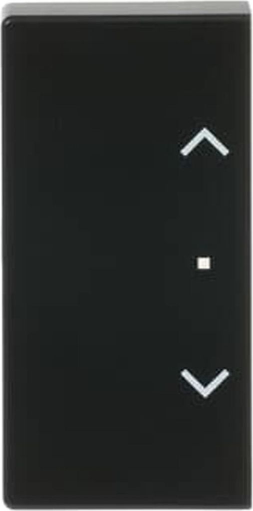 Busch-Jaeger Wippe 2-fach li/re, Symbol Jalousie div. Flächenprogramme, schwarz matt, 1 Stk.