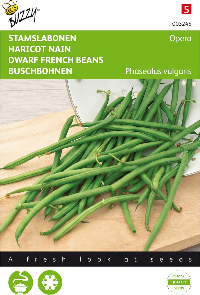Buschbohne Opera | Buschbohnensamen von Buzzy Seeds