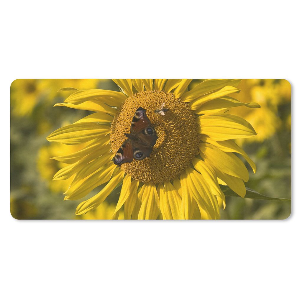 MuchoWow Mauspad Mousepad Tagpfauenauge Schmetterling auf einer Sonnenblume 60x30 cm - Mousepads - Maus Mat - Pad - Mausunterlage - Nachhaltig