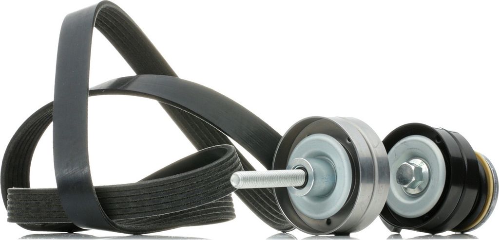 RIDEX 542R0449 Keilrippenriemensatz für VW GOLF VI (5K1)