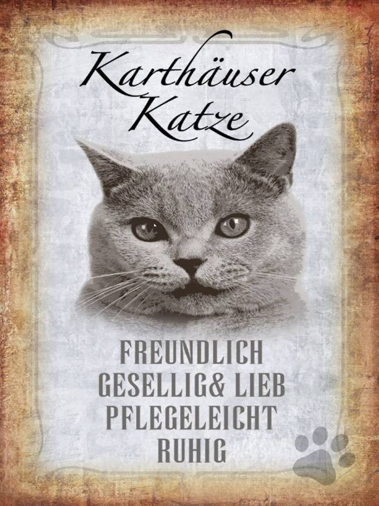vianmo Holzschild 40x30 cm Kartäuser Katze lieb