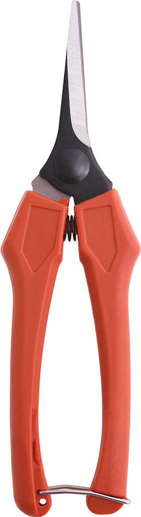 Gerade Schere Wolfpack zur Traubenlese P10/18 cm.