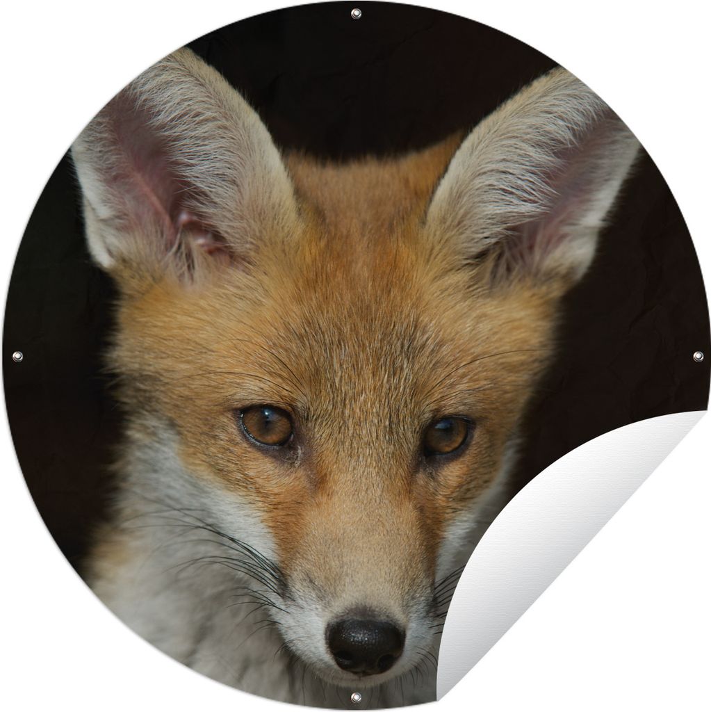 MuchoWow Gartenposter Outdoor-Poster Rund Fuchs - Porträt - Schwarz Ø 90 cm Gartendeko Rundes Poster draußen