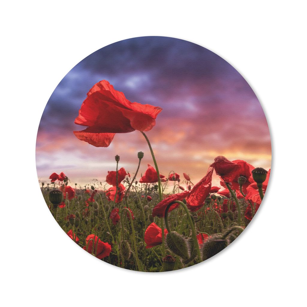 MuchoWow Mauspad Mousepad Mohn - Blumenfeld - Rot 50x50 cm - Mousepads - Maus Mat - Pad - Mausunterlage - Vinyl