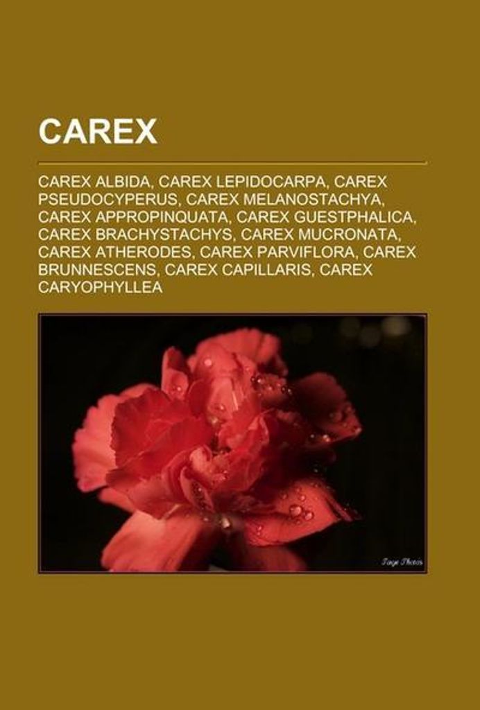 Carex