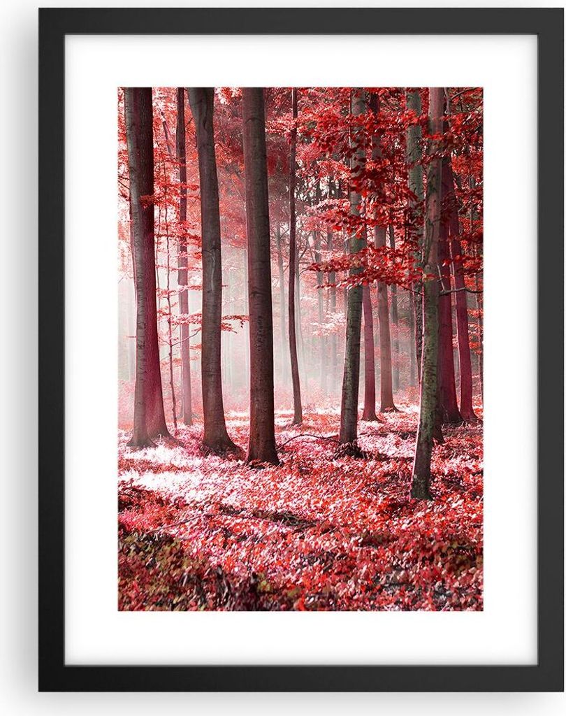 Gerahmtes Poster - Schwarzer Rahmen - Wald Rot Bäume - 30x40 cm - Wand Bild - Wanddeko - Wandbilder - Kunstposter - Wandposter - Bilderrahmen - Bi...