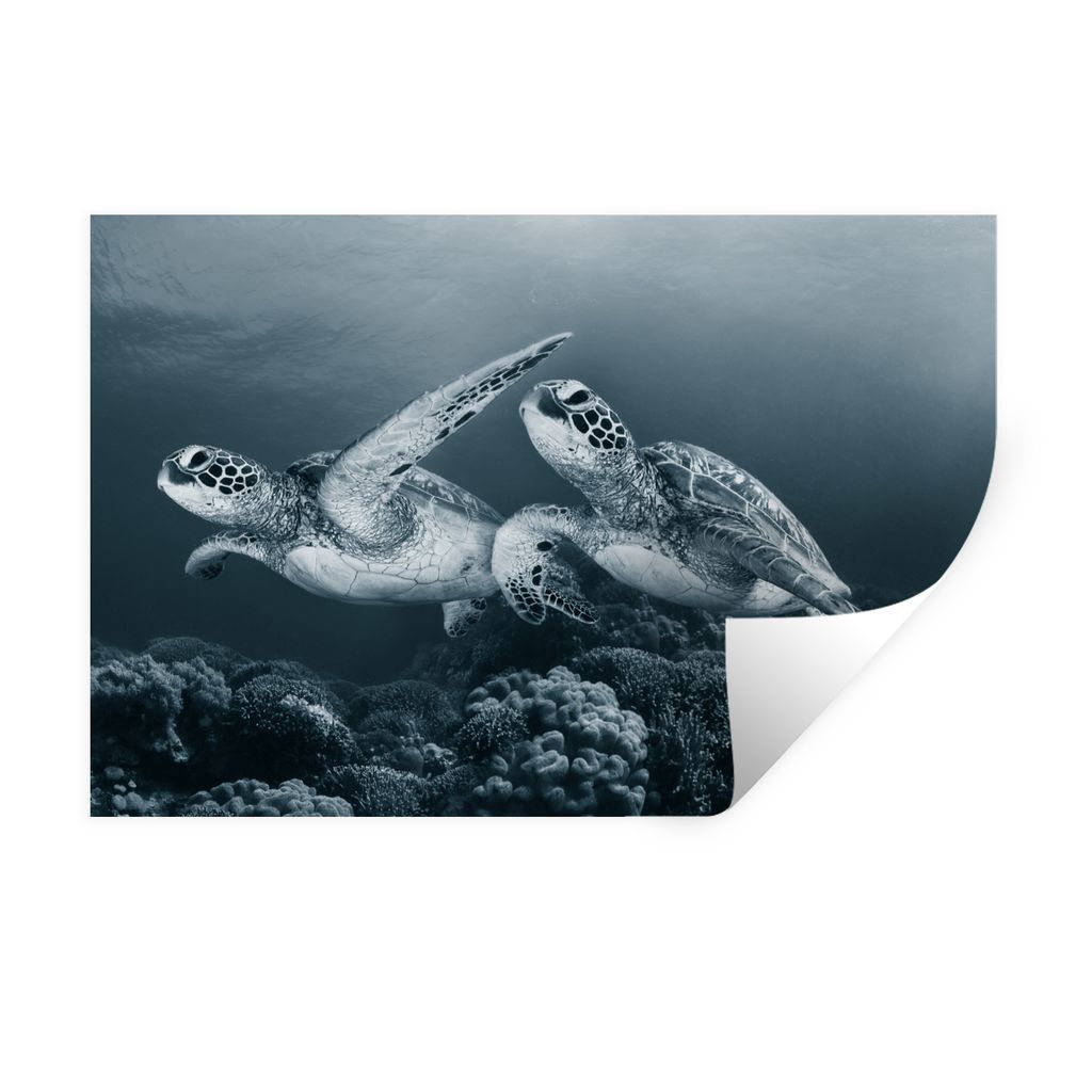 MuchoWow Wandtattoo Wandsticker Wandaufkleber Schildkröte - Meerestiere - Schwarz und weiß - Wilde Tiere 30x20 cm Selbstklebend und Repositioni...