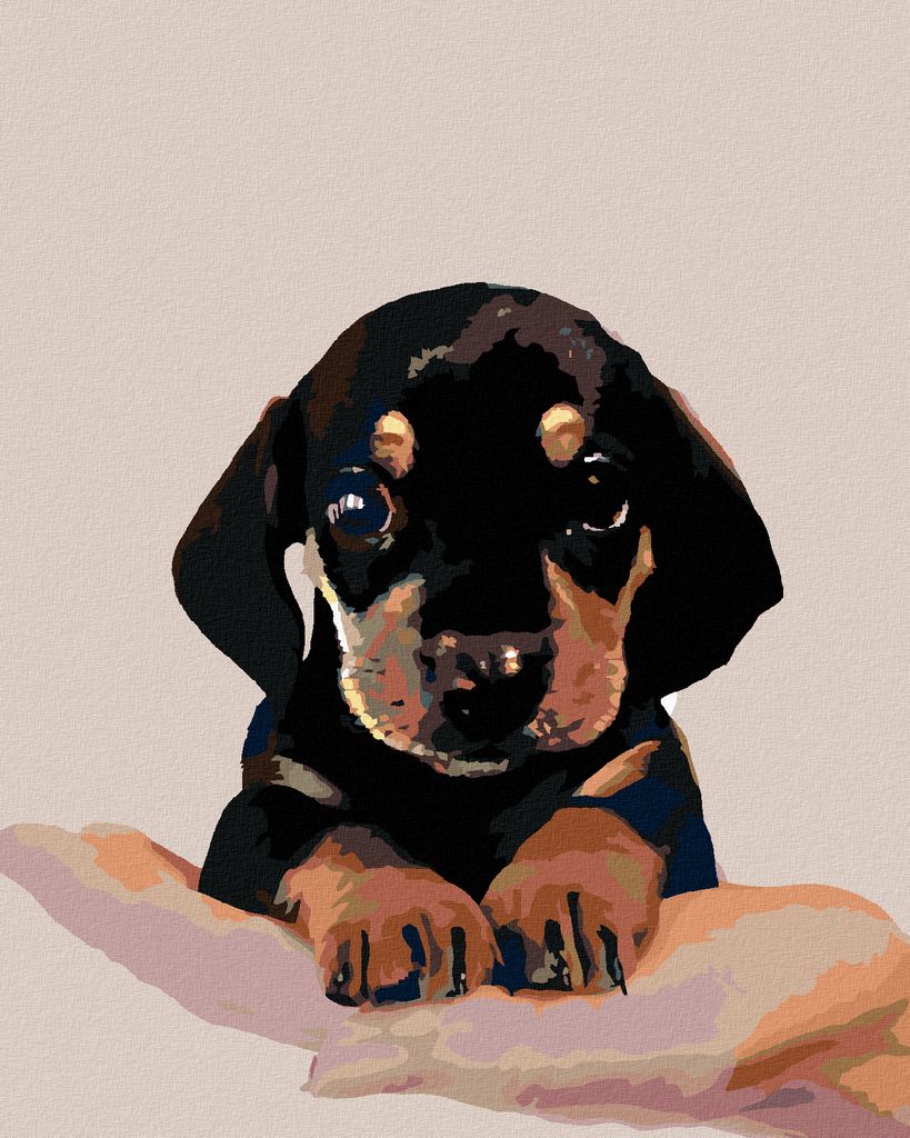 Zuty - Malen nach Zahlen - WELPE VOM KURZHAARDACKEL, 40x50 cm, mit Keilrahmen (bereits gespannt)