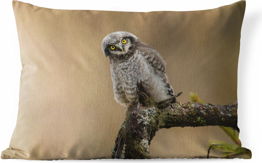MuchoWow® Outdoor Kissen - Jungtiere - Sperberkauz - Zweig Produktbild 