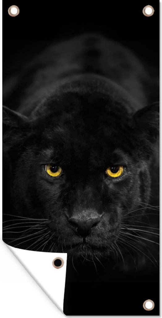 MuchoWow 80x160 cm Outdoor-Poster Gartendeko Sichtschutz Garten Poster für den Garten Leopard - Augen - Schwarz