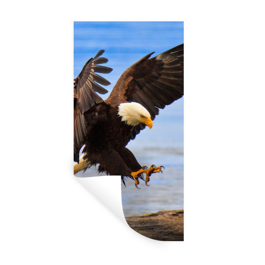 MuchoWow Wandtattoo Wandsticker Wandaufkleber Vogel - Seeadler - Strand 20x40 cm Selbstklebend und Repositionierbar - Selbstklebend - Fototapeten