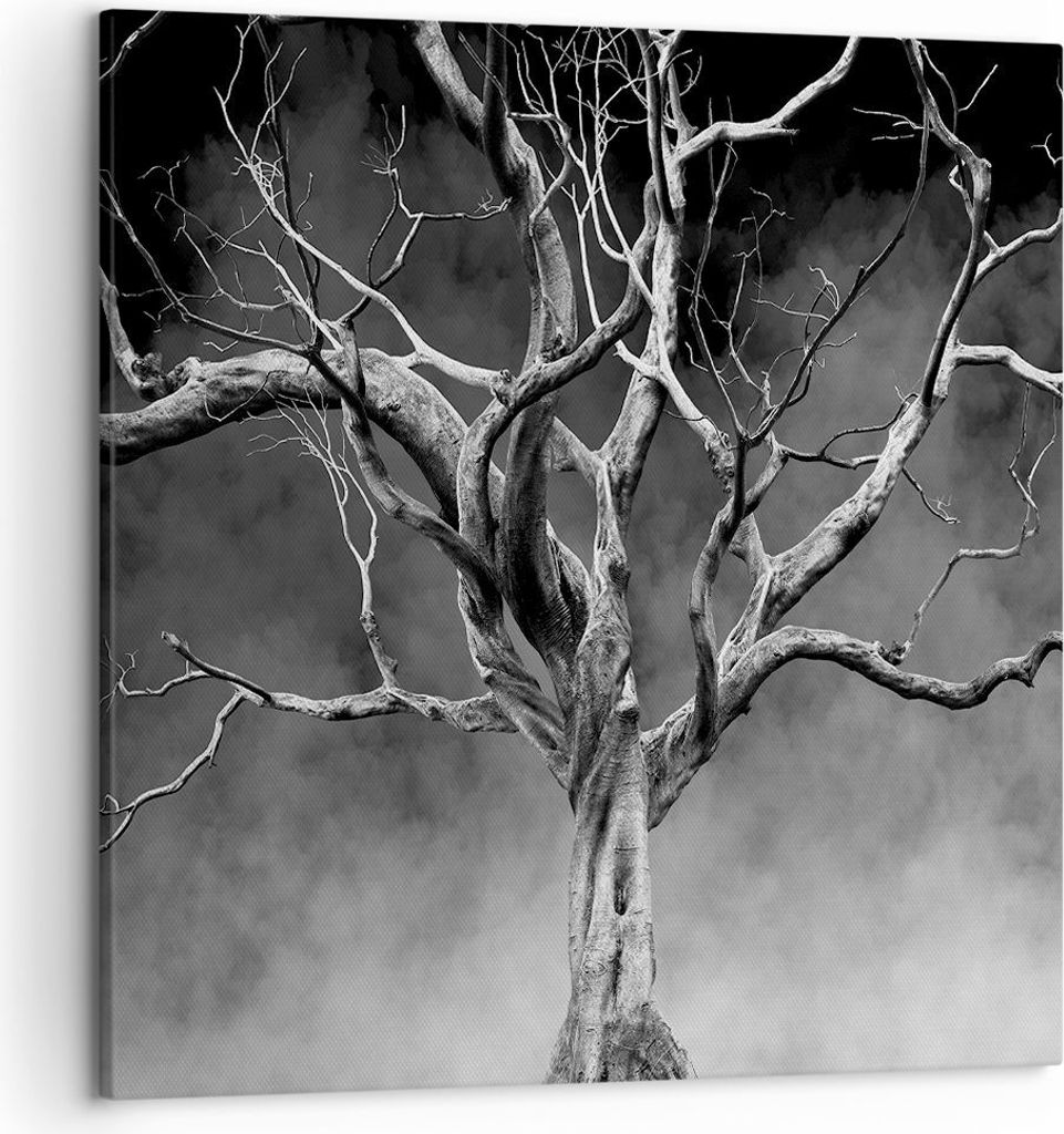 Bild auf Leinwand - Leinwandbild - Einteilig - Schwarzweiß Äste Rauch - 50x50cm - Wand Bild - Wanddeko - Wandbilder - Leinwanddruck - Bilder - Wa...