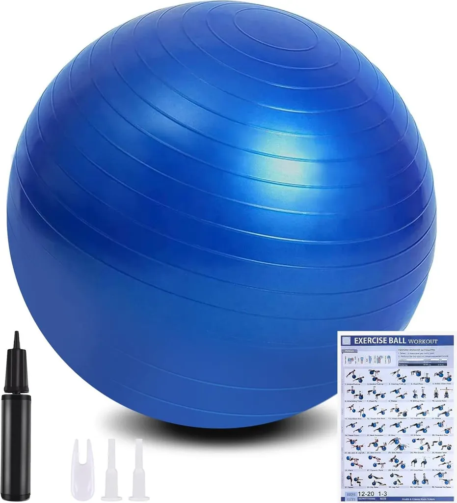 Ballon de Gym Suisse Yoga et Fitness 65cm Extra-Épais Haute Résistance
