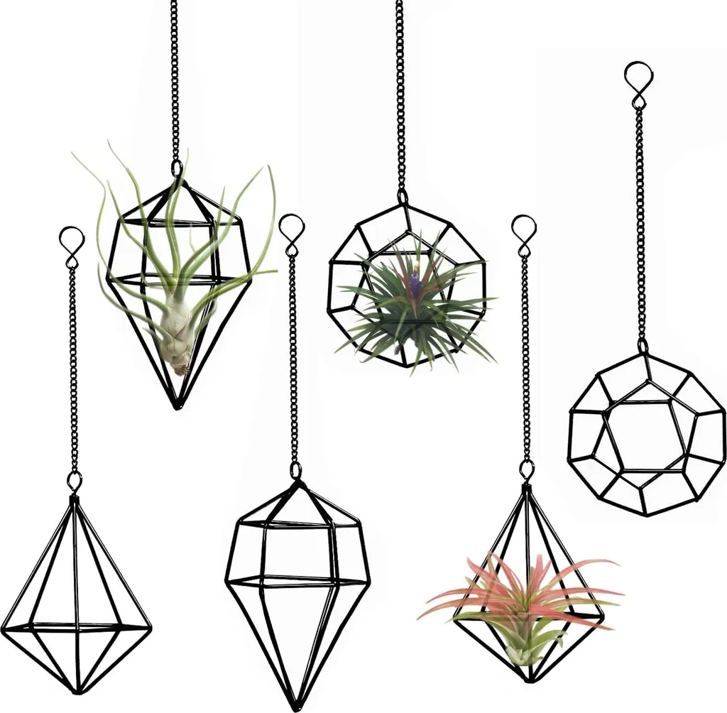 Support Tillandsia Géométrique Noir en Métal Robuste - Pack de 6