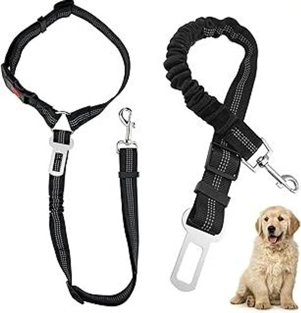2 Cinture Cane Auto Universali | Anti-Striscio | Nylon Ultra Resistente