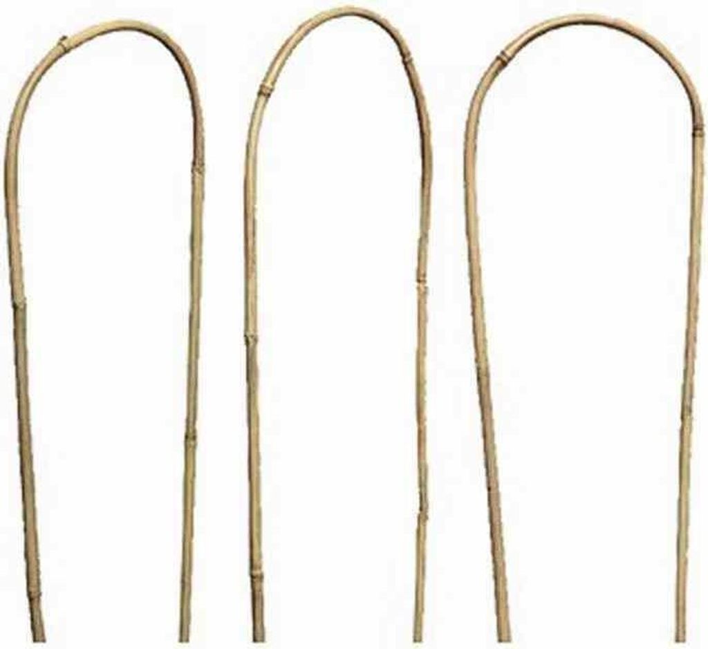 SIENA GARDEN Strauchstütze, H 90 cm, Bambus in natur, 3 Stück