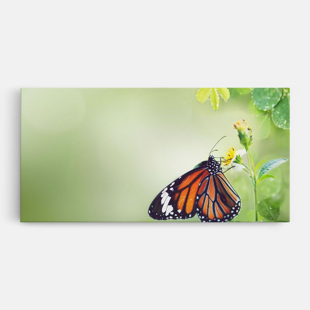 ARTHUB Leinwandbild 50x100 cm, Butterfly Wild Plant | Wohnzimmerdekoration, Hängende Bilder, Wanddekoration, Heimdekoration, Blumen, Blumen in d...