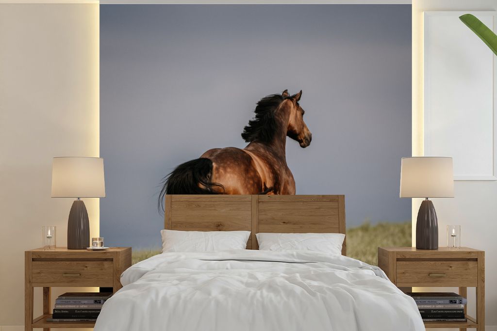 MuchoWow Fototapete für Wohnzimmer oder Schlafzimmer Wandtapete Vinyl Motivtapete Tiere - Pferde - Fohlen - 280x280 cm - Hintergrundbild