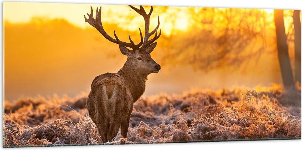 Bilder auf glas - Herbst landschaft natur blatt - 120x50cm - Glasbilder - Wandbilder - Kunstdruck - zum Aufhängen bereit - Wanddekoration aus Glas...