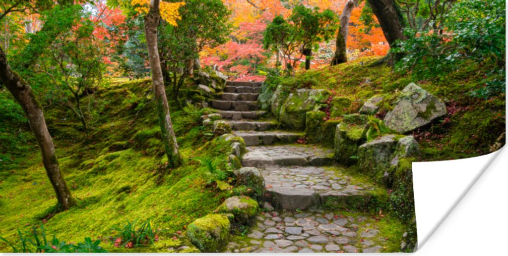 MuchoWow Poster Natur - Steine - Kröte - Moos - Japanisch 150x75 cm - ohne Rahmen