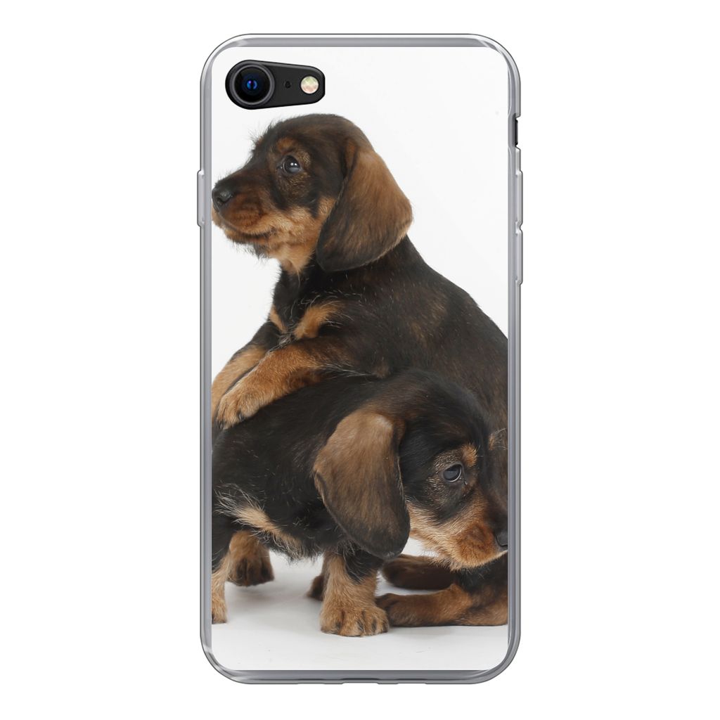MuchoWow Handyhülle Schutzhülle Hülle für iPhone SE 2022 Studiofoto von zwei süßen Dackeln Silikon Softcase Handy Hülle - Schutzhülle