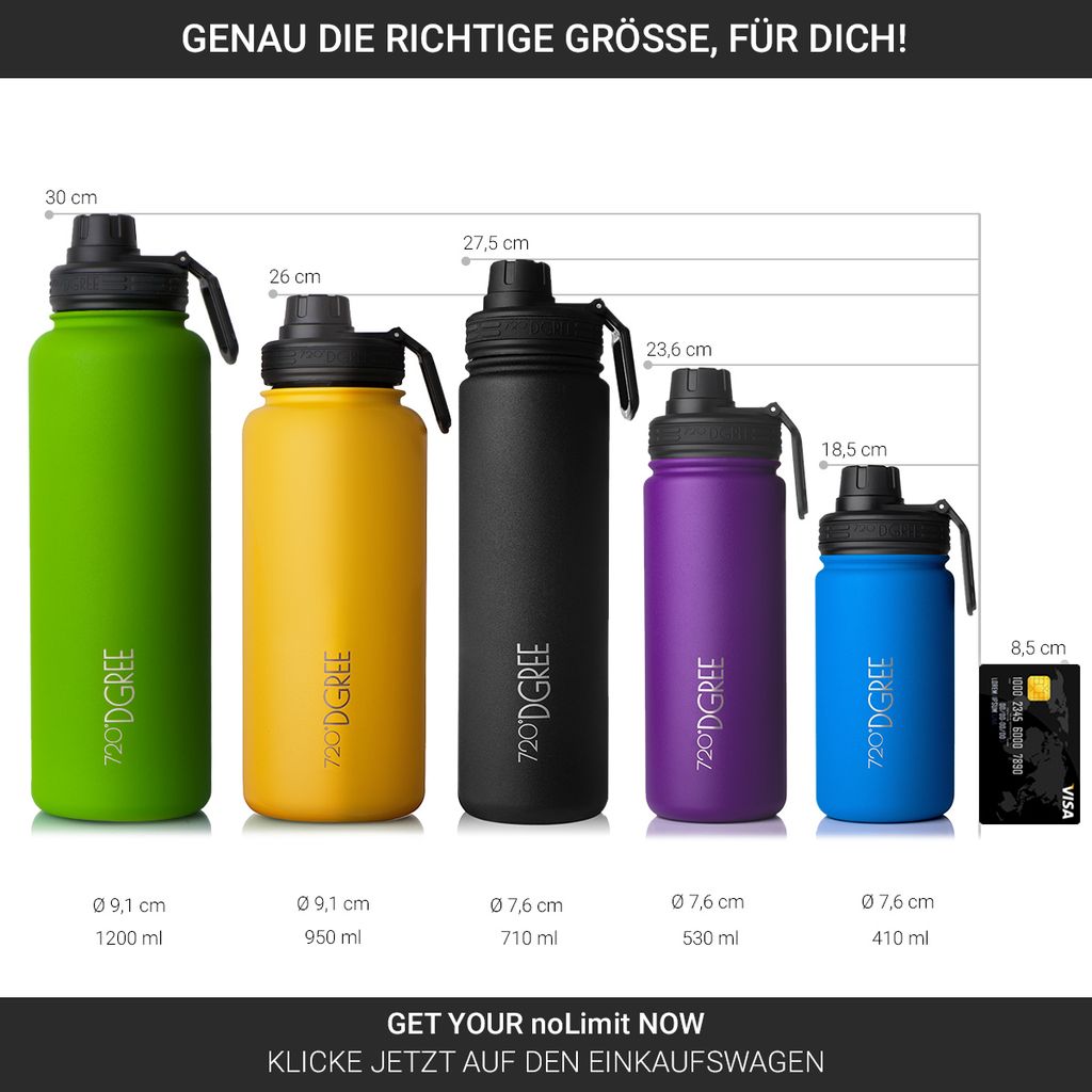 720°DGREE Edelstahl Thermo-Trinkflasche “noLimit“ 530ml, Farbe:flamingo pink